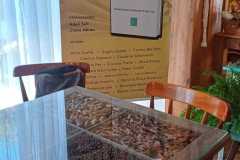 02-Metamorfose-I-Sao-Francisco-de-Paula-marco-2024