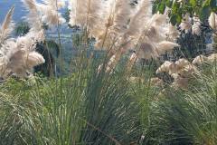 IMG_20260411_110537