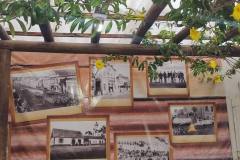 IMG_20241214_174249098